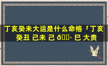 丁亥癸未大运是什么命格「丁亥 癸丑 己未 己 🌷 巳 大贵 🕸 」